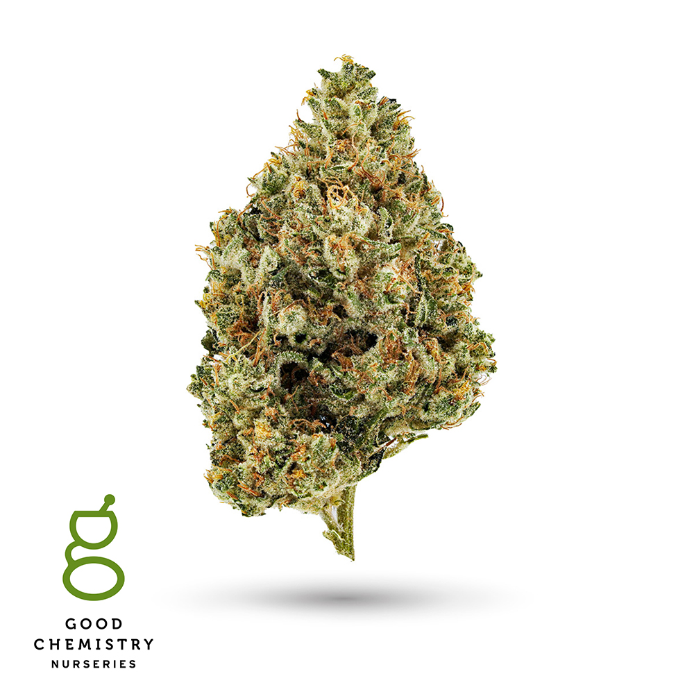 Chocolate Chem