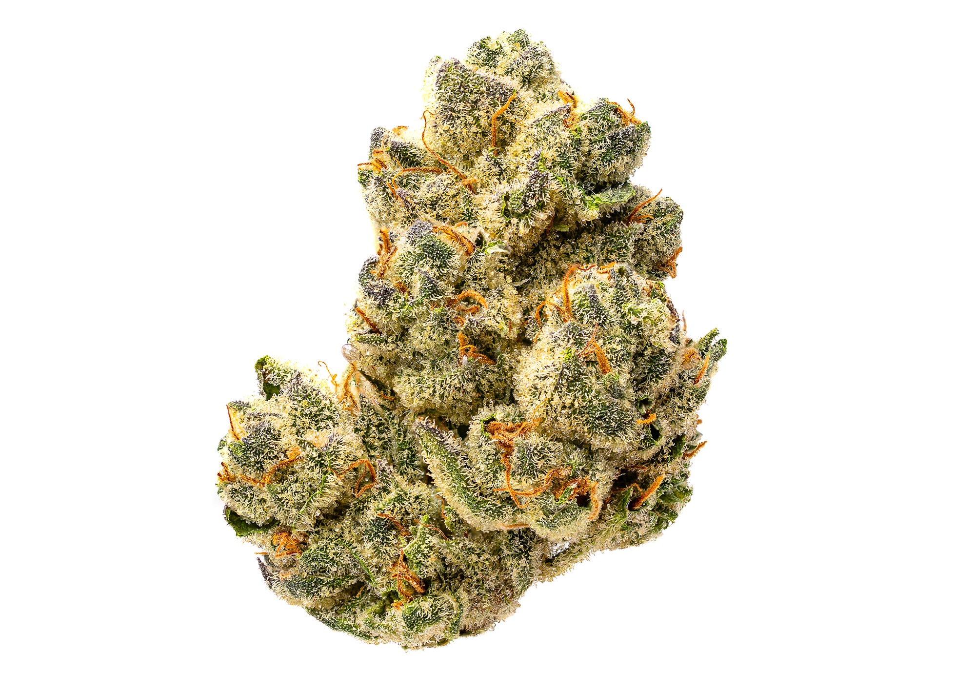 Grapes and Cream | 28g