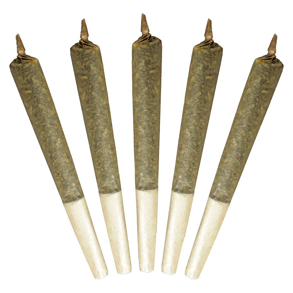 Big Buddy Sativa Pre-Rolls | 5x1g