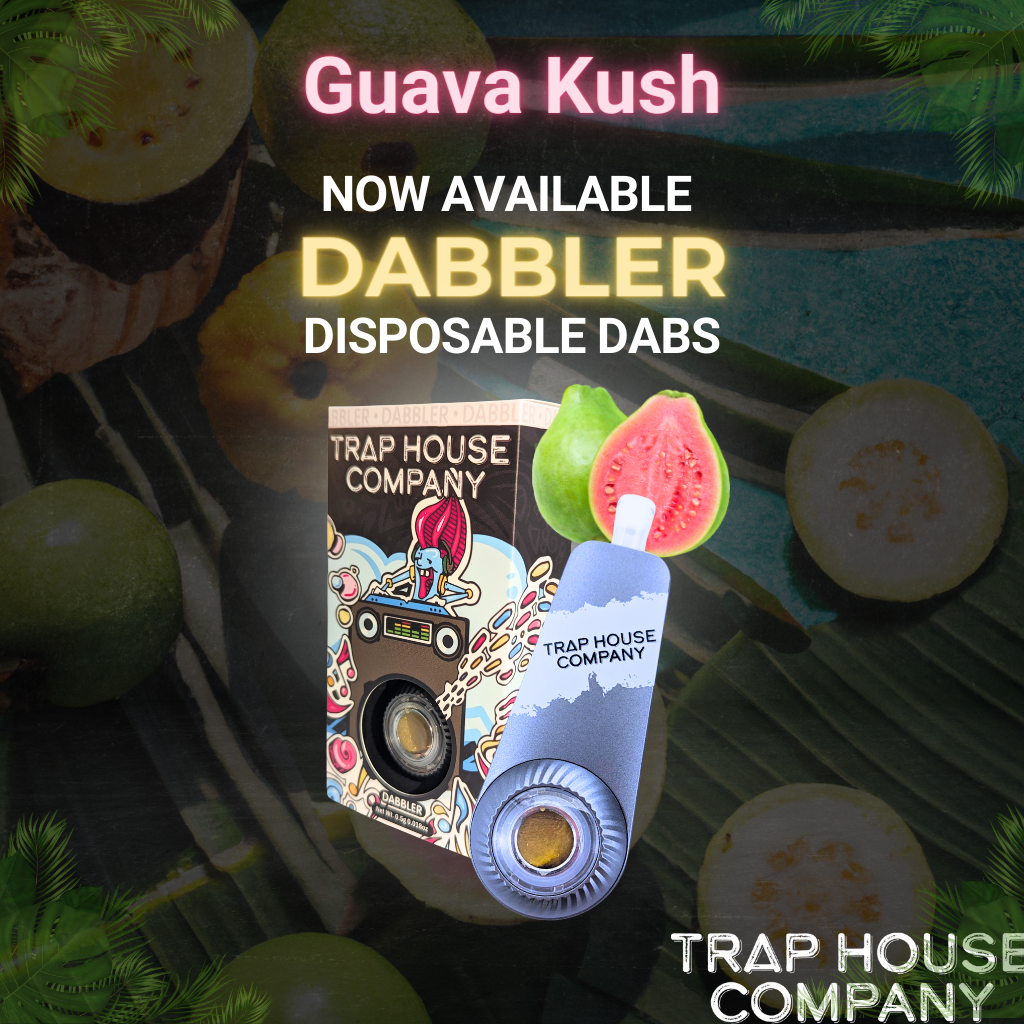 THC Dabbler - Guava Kush Cured Resin