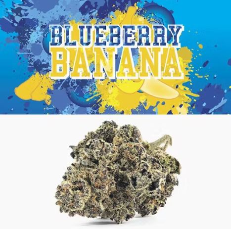 Blueberry Banana