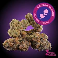 Garden Greens (Mixed Buds) | Chem 51 | 14g (Indica)