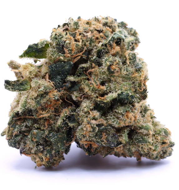 MARYLAND HERB CO. Guava Lava 5g