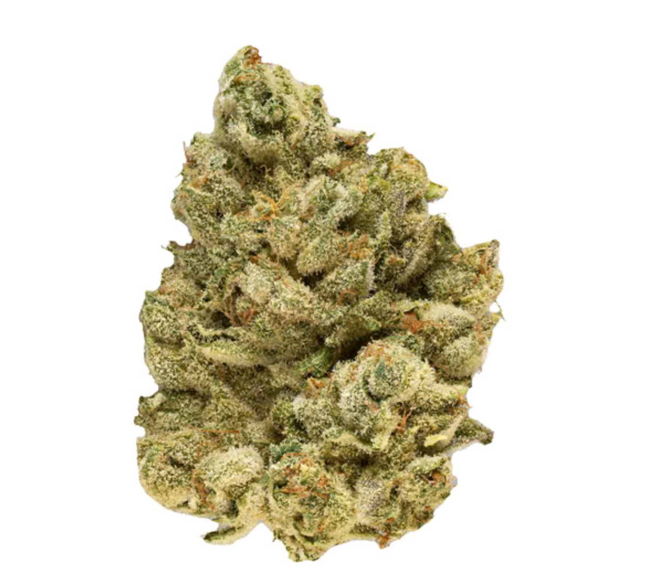 Broken Coast - EmergenZ - 7g