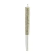 Skunk Train Farm - Jack Herer / Gods Breath - Prerolls - 12pk