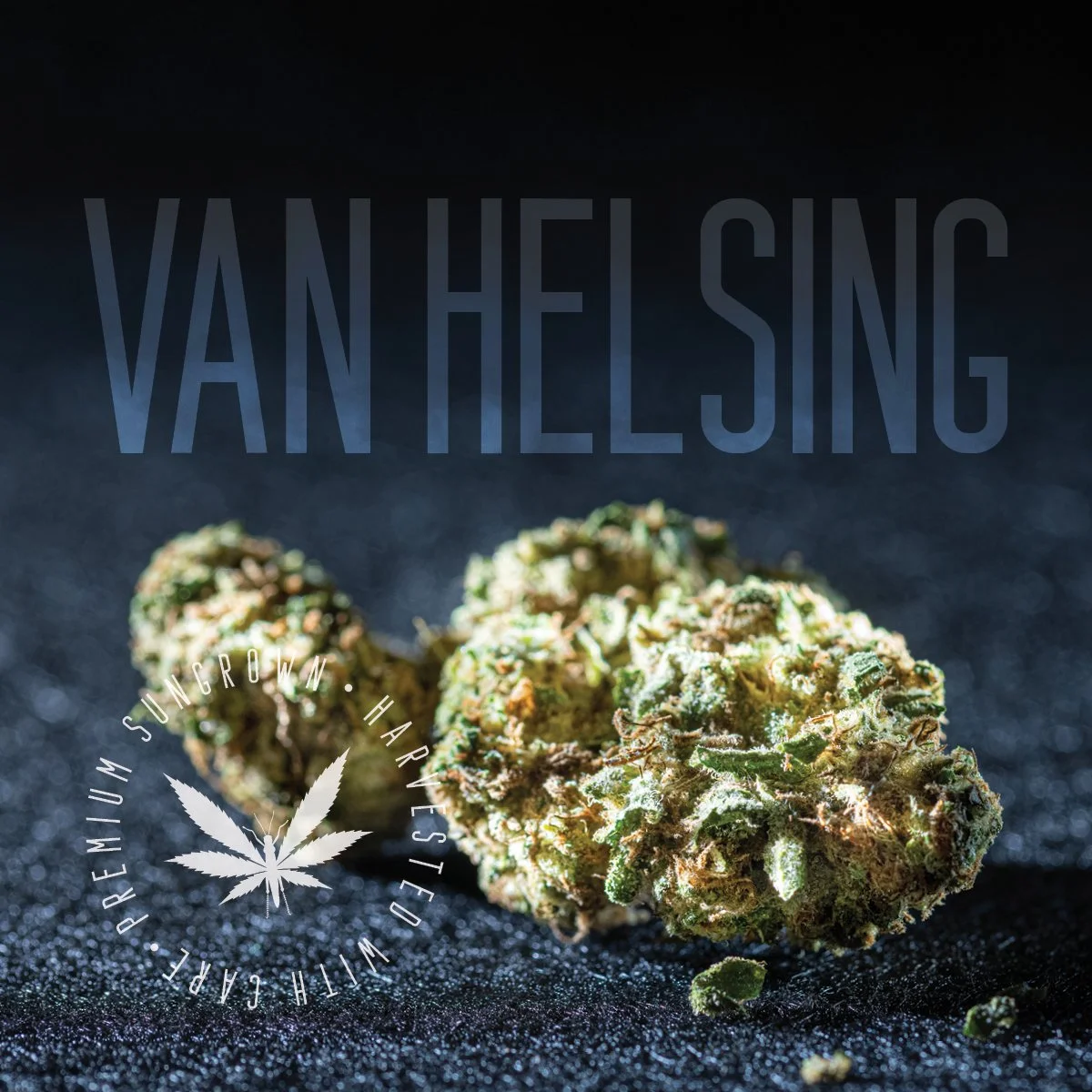 Van Helsing | Indica | Bulk Flower | Bronze