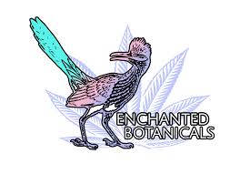 Enchanted Botanicals Blueberry Scone