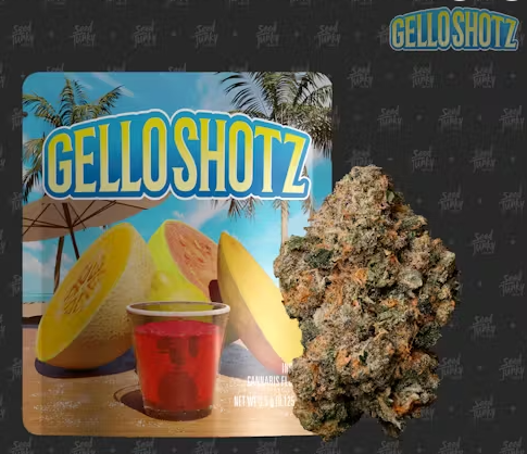 Seed Junky Gello Shotz Sativa