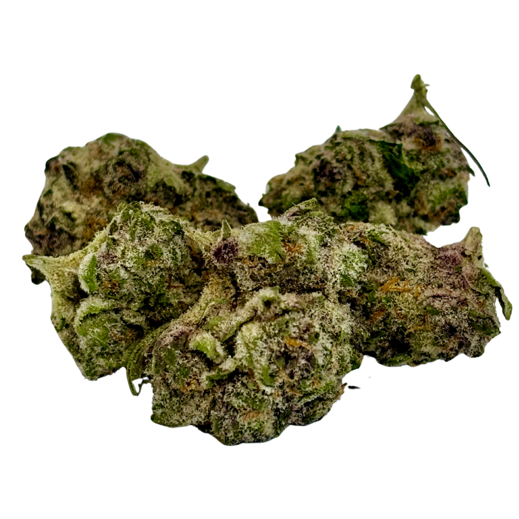HIGH NEIGHBOR | SUPER BUFF CHERRY | BULK FLOWER