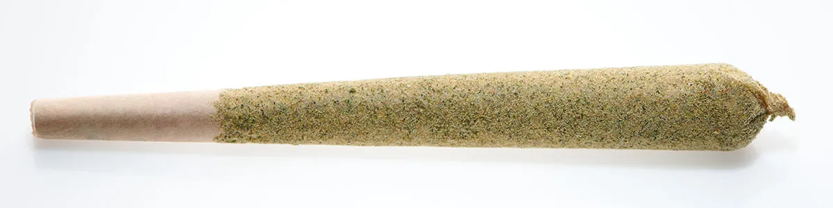 Honey King | Tangi (S) | Infused Pre-Rolls | 1.5g