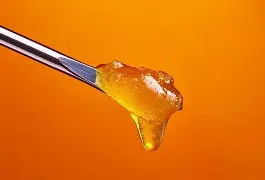 Phlame Cannabis: Zkittlez