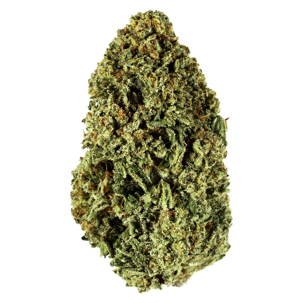 Divvy - Blueberry (Afghani x Thai) - Indica