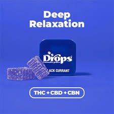 1:2 | 2pc | BLACK CURRANT