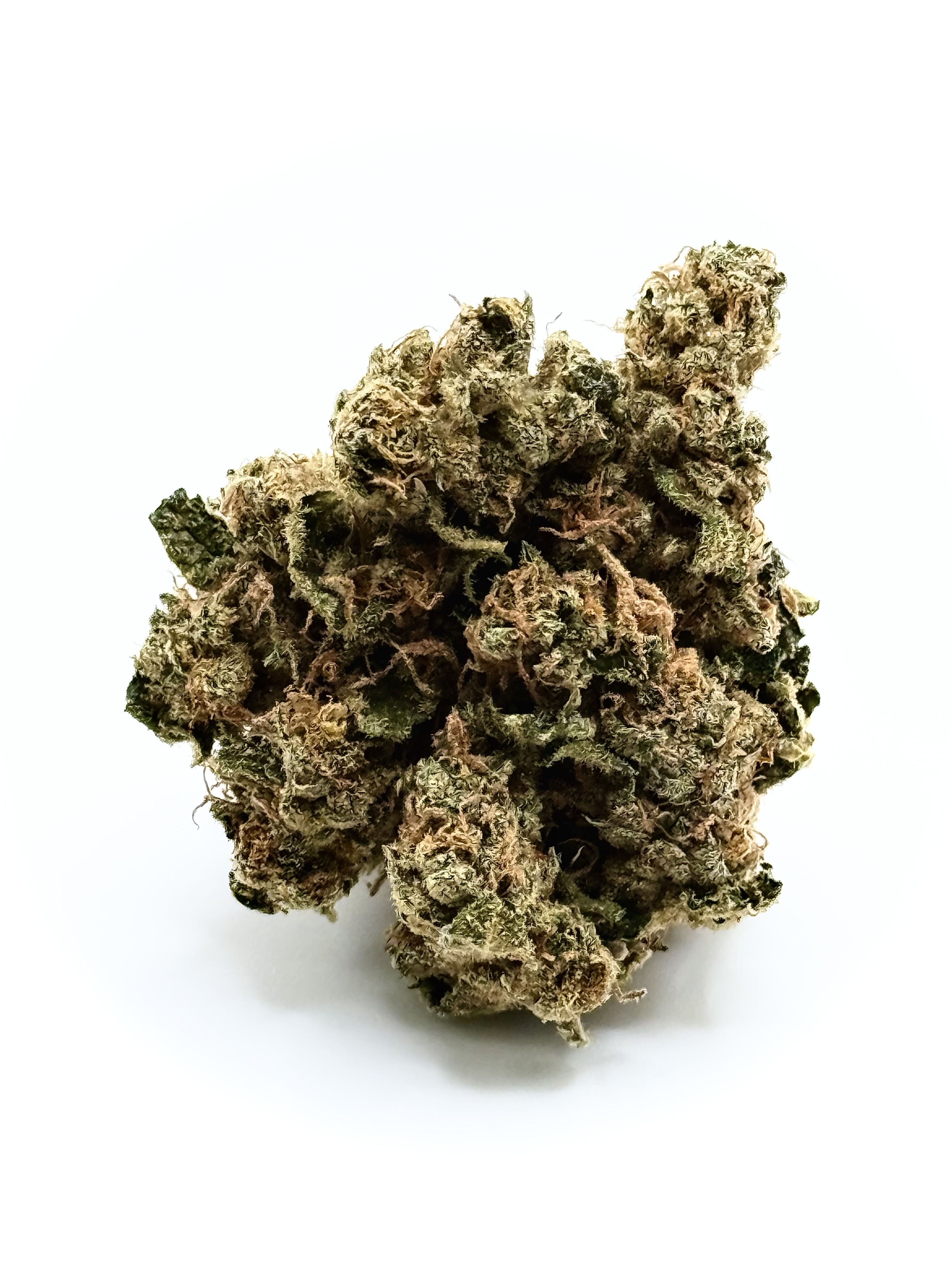 Lemon Lovestone-West