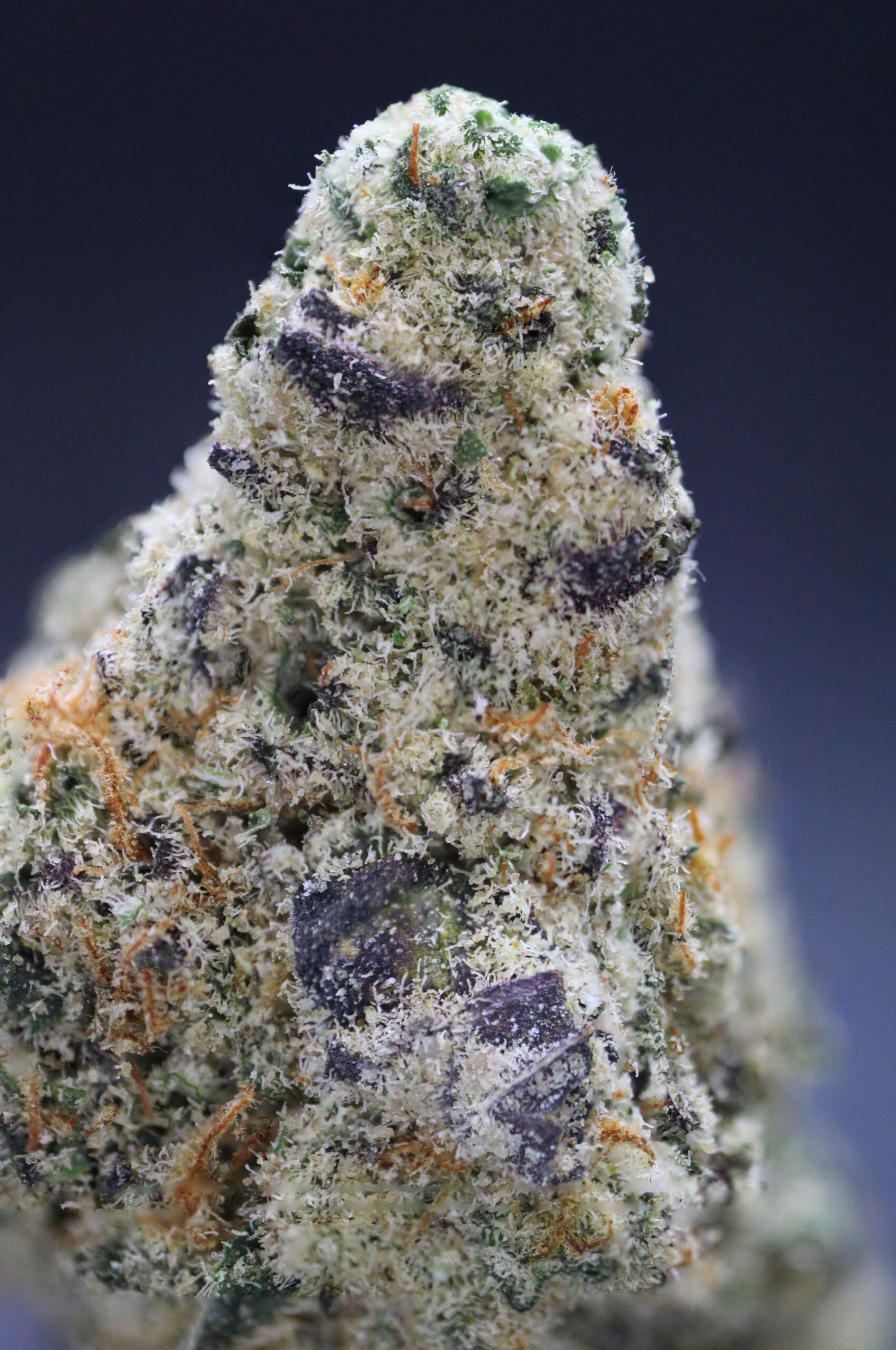 $60 oz: Cherry Slimeade