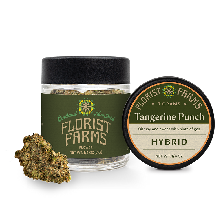 Flower | Tangerine Punch (H) Florist Farms