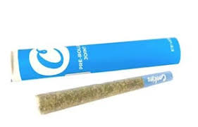 Cookies Pre 1pk | Cheetah Piss | 1g (Sativa)