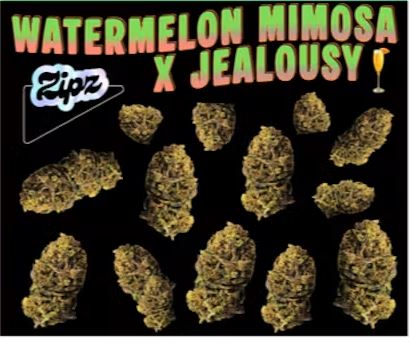 Four20 | Watermelon Mimosa x Jealousy Smalls product photo