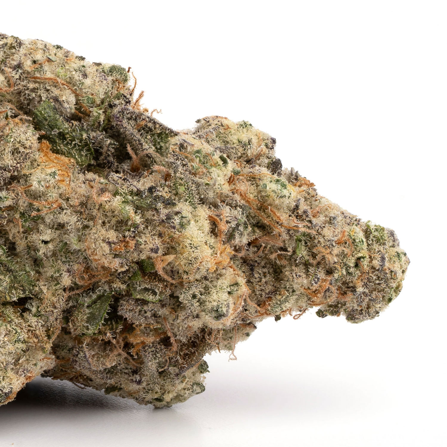 Bananaconda Buds