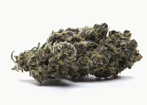 Aliento de Dragon | Dragons Breath | Hybrid Flower