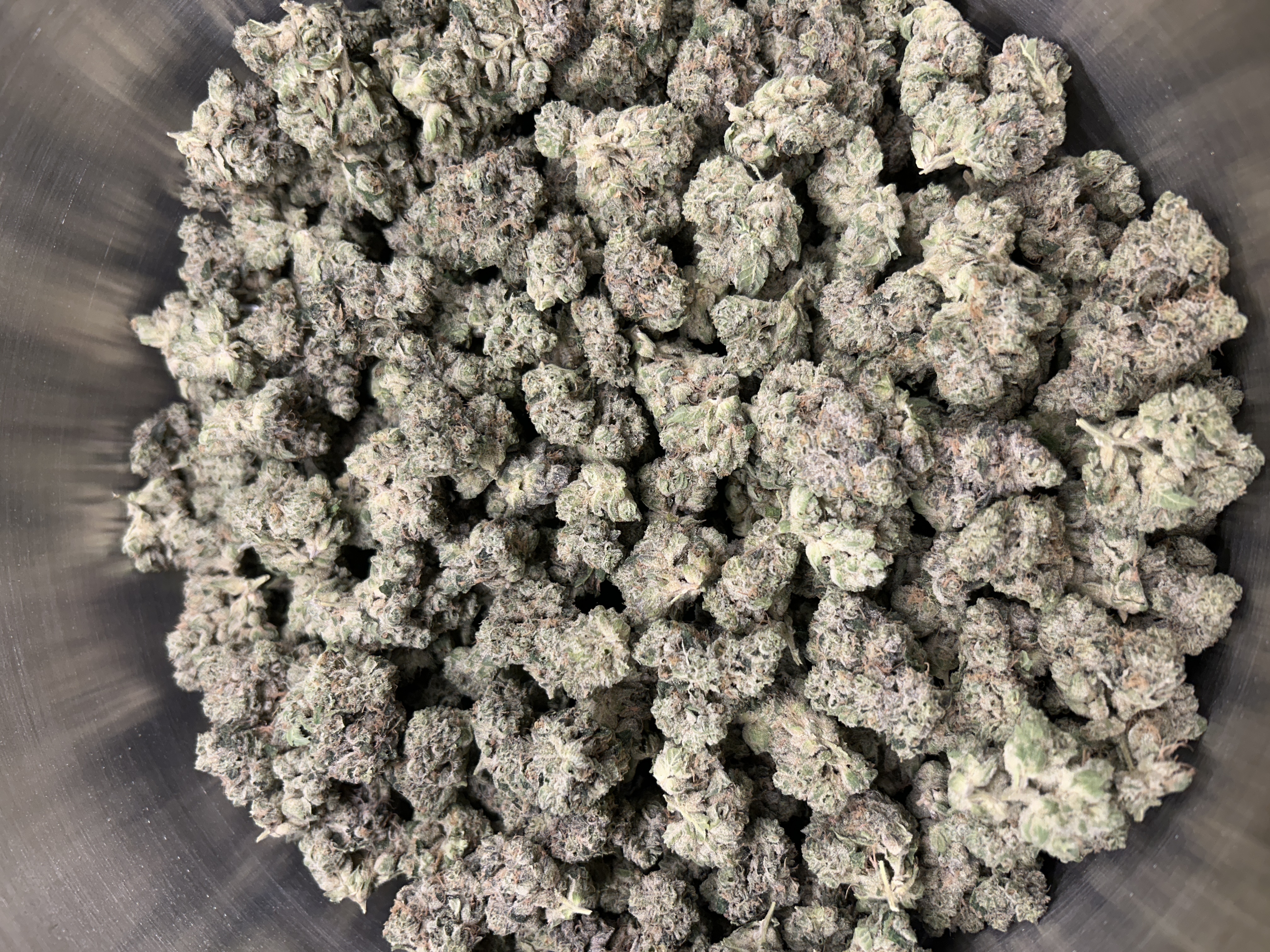 Zombie Buds