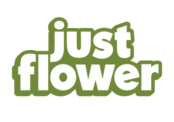 Just Flower