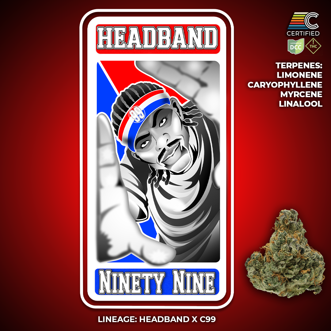 Certified - Headband 99 S