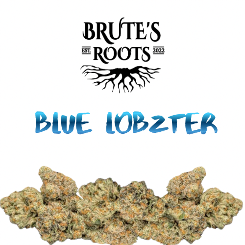 Flower - Blue Lobzter - Brute's Roots - REC