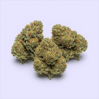 Shop the best cannabis products and deals in Grand Rapids - High