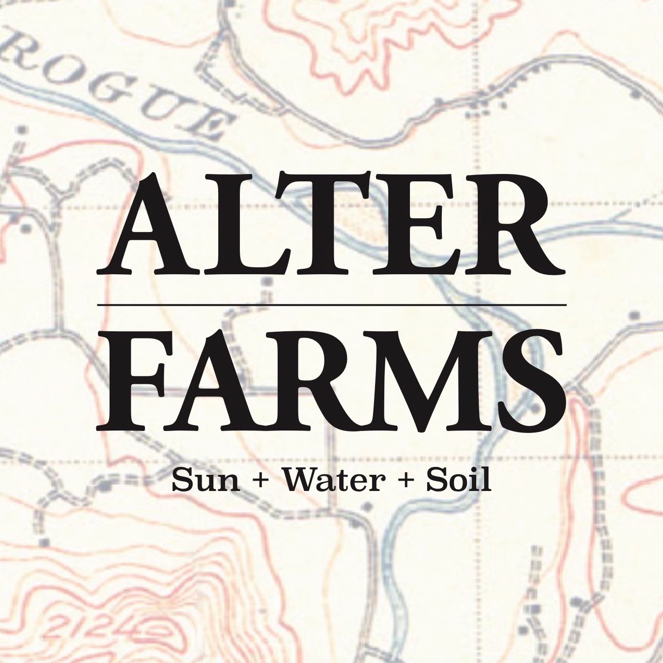 Alter Farms - MIMOSA - Tier 2 Flower