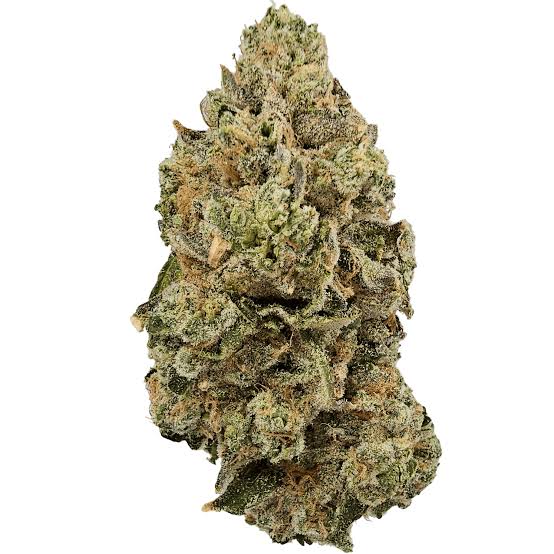 CD HOODVIEW | LolliLato ($60Q)