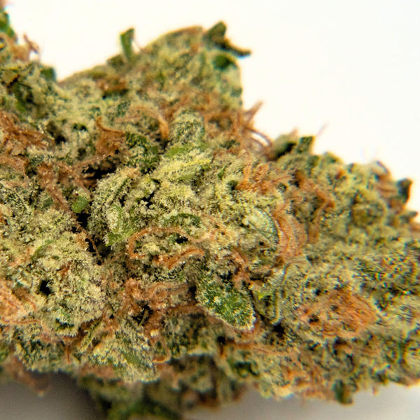 HOS | White Diamonds Dime Bag