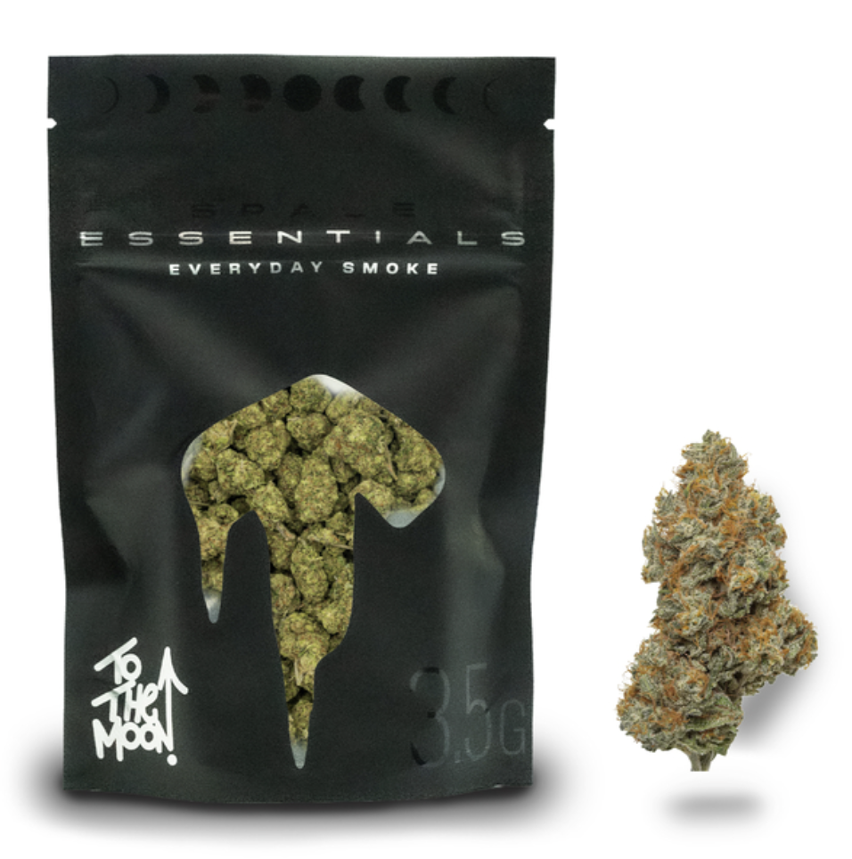 To the Moon Essentials | Northern Lights