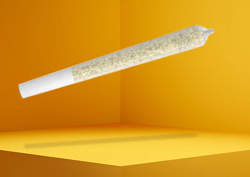 Critical Durban | 1G Pre-Roll