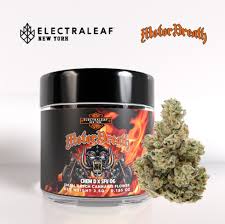 Electraleaf | Motor Breath | Flower