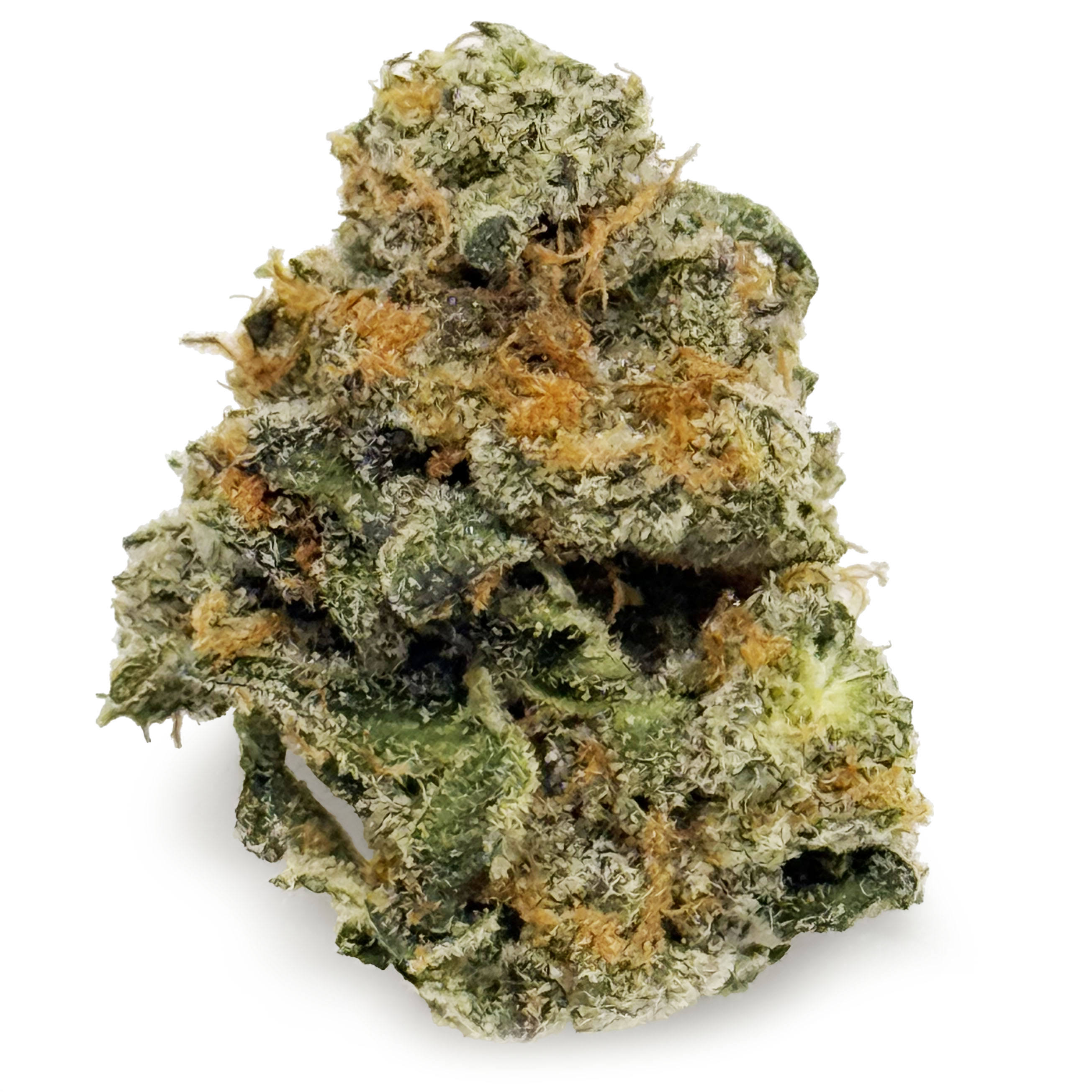 Cloverdale Gardens | S.R.T. Smalls