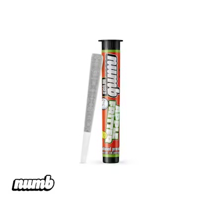 Numb: Apple Fritter 1.25g Infused Preroll
