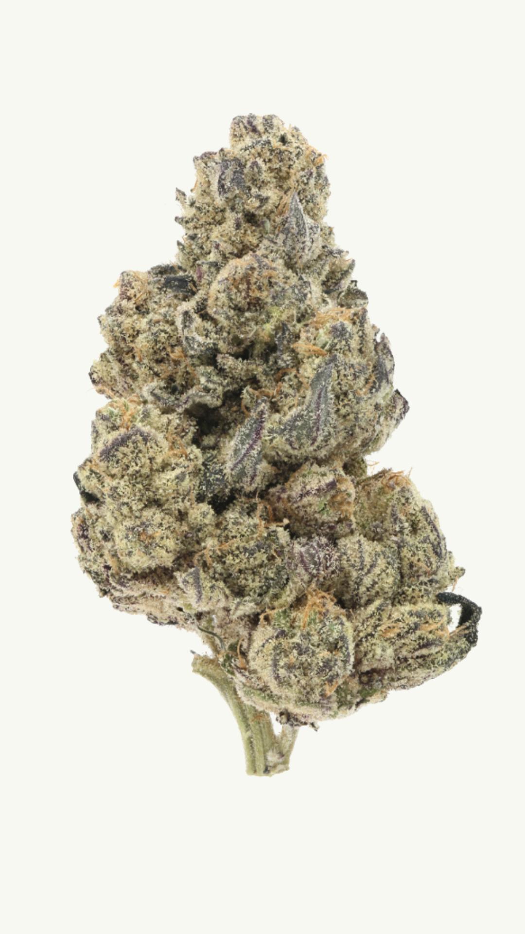 Crooked Kush | 28g