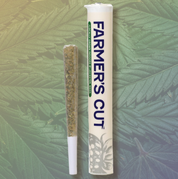 Rancid Rainbow | 1g Preroll