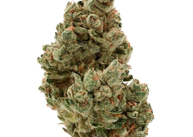 Young G.o.a.t Dulce De Fresca