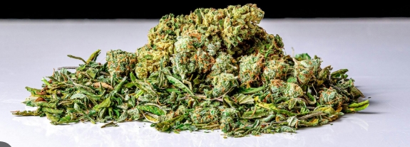 Afghani Supernova | Shake/Trim