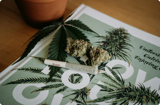 Pilot Light Preroll (Grown N DC)