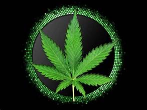 Skunkworx Gmo