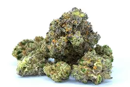(57362) (the) ESSENCE 7g Permanently Divine Buds