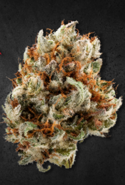 Katana Flower: 3.5g