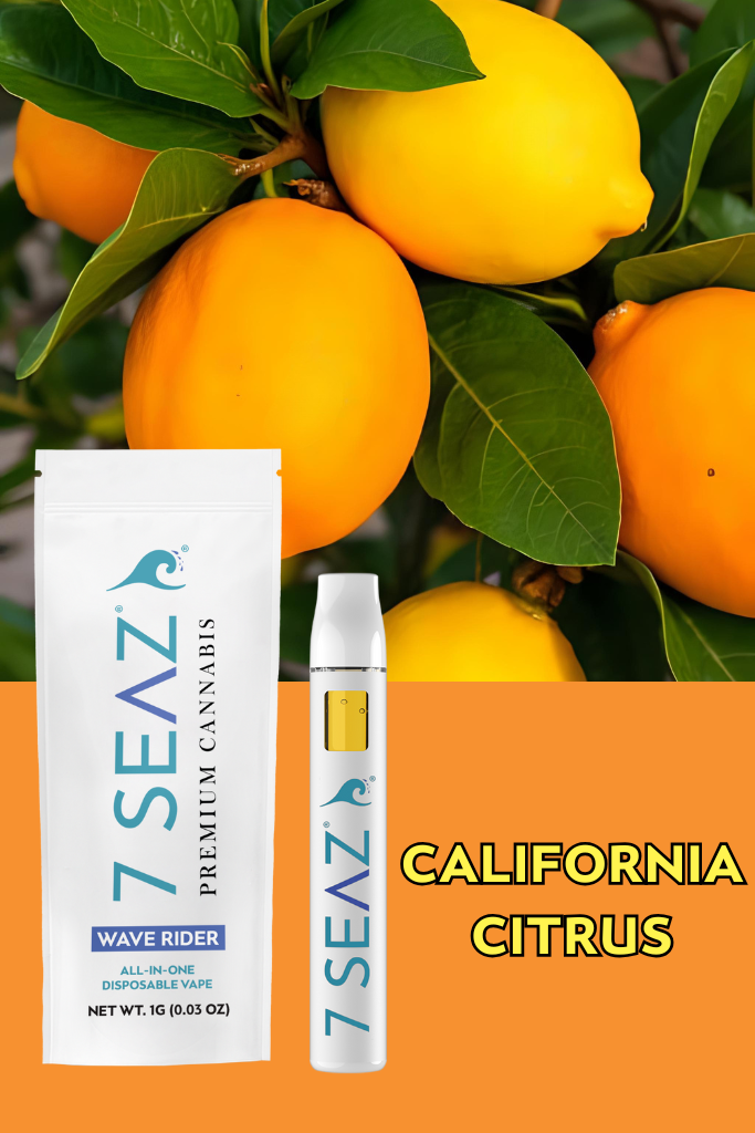 7 SEAZ | Wave Rider | California Citrus | AIO Vape | 1g | Canna