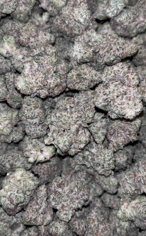 Oreoz | Animas Cannabis