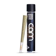 Preroll: Honey Runtz (5-pack)