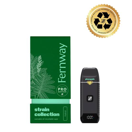 Pineapple Express | Traveler PRO | Disposable | 1G