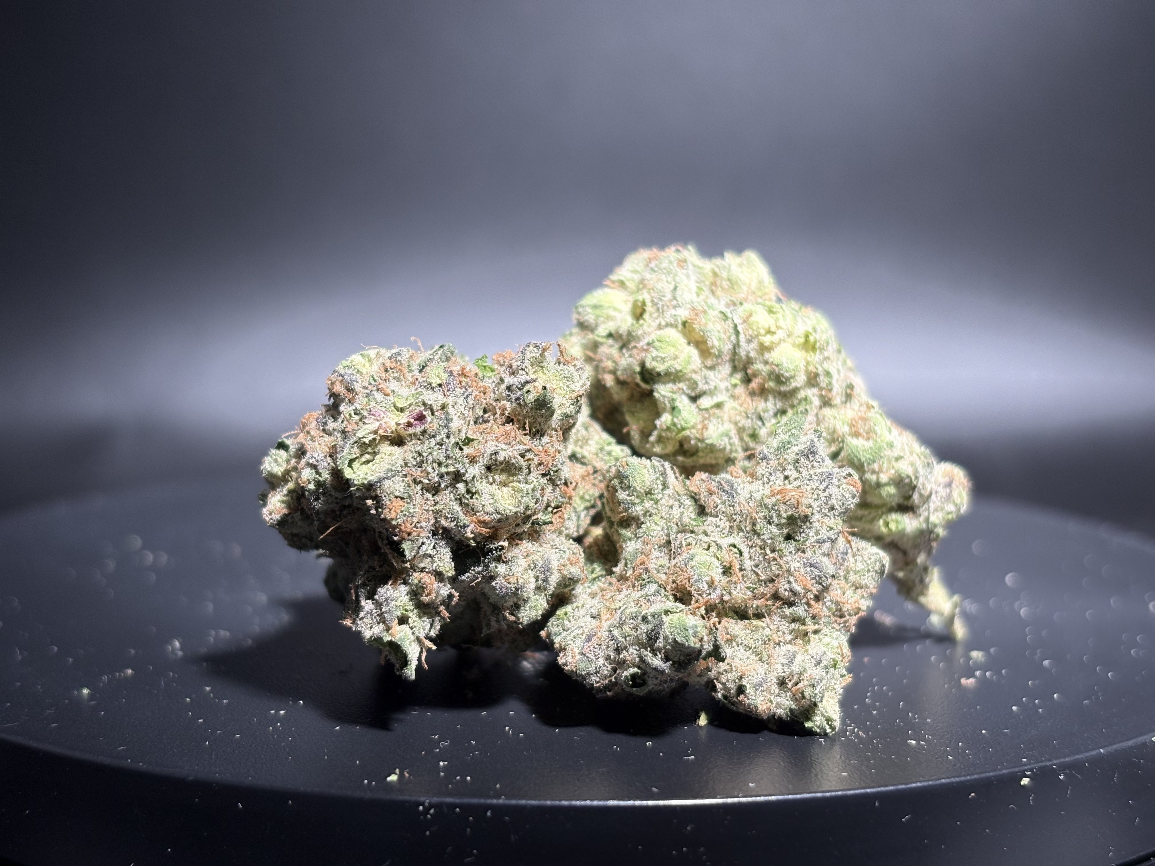 Flower - Bulk - Zelato #1